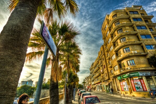 Beautiful view of the city with tall palm trees