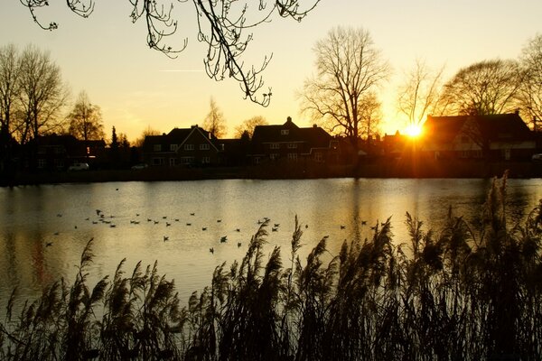 Sunset in a calm environment