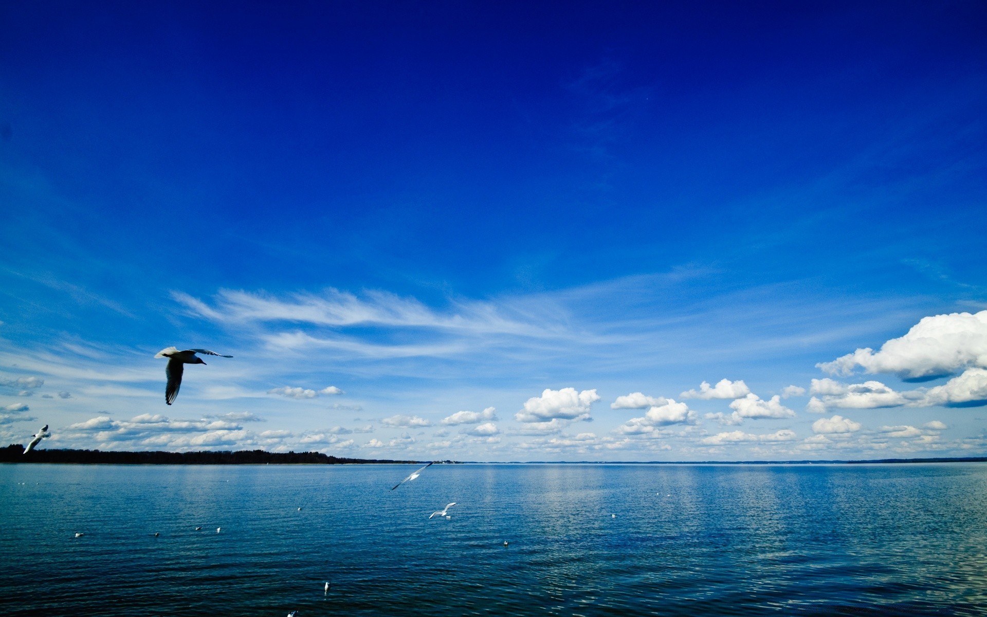 欧洲 水域 日落 黎明 天空 黄昏 太阳 自然 户外 晚上 夏天 海 旅游 海洋 好天气