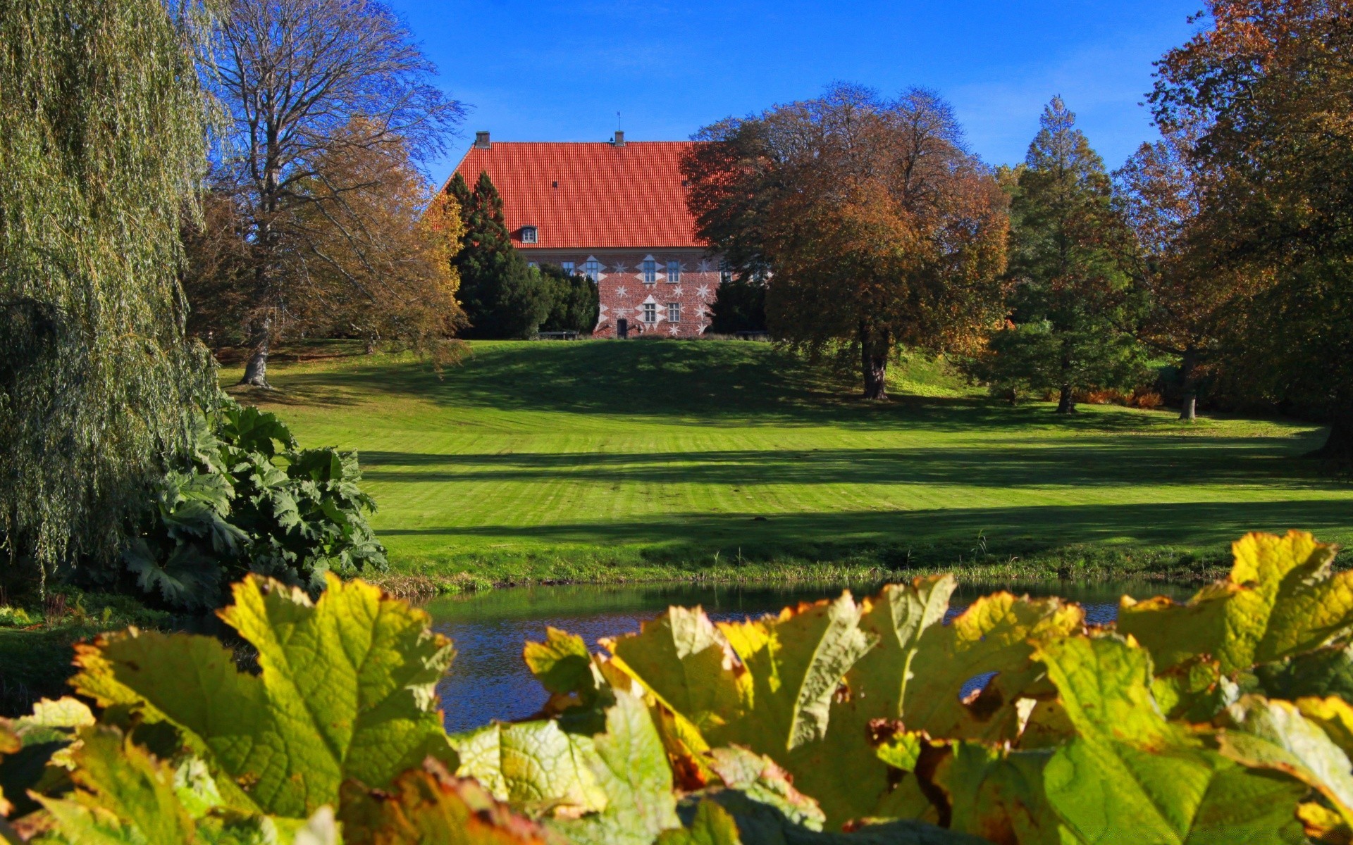 europe fall tree outdoors nature landscape leaf grass countryside scenic rural season sky daylight summer park