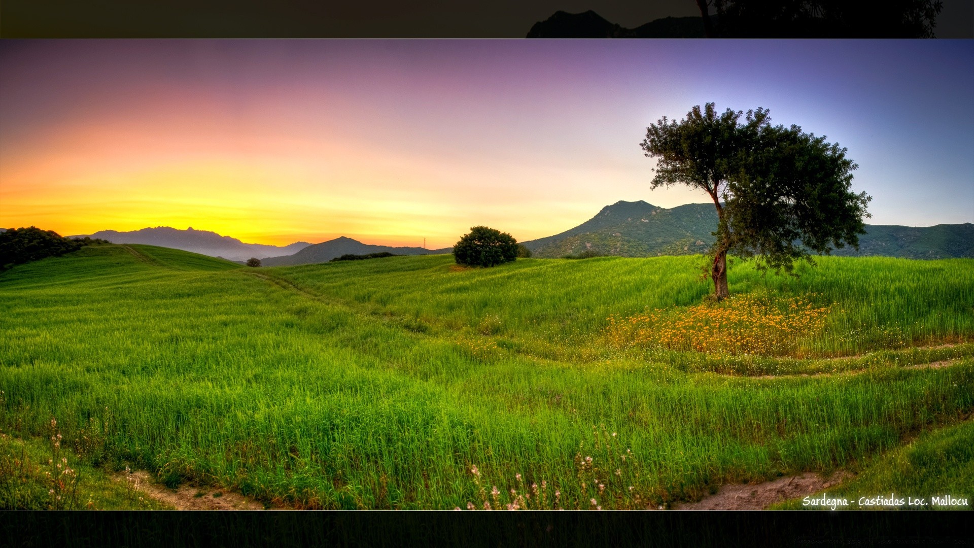 europa landschaft feld natur gras heuhaufen baum dämmerung himmel sonnenuntergang sommer land sonne des ländlichen wolke horizont bauernhof spektakel schön landschaft flora