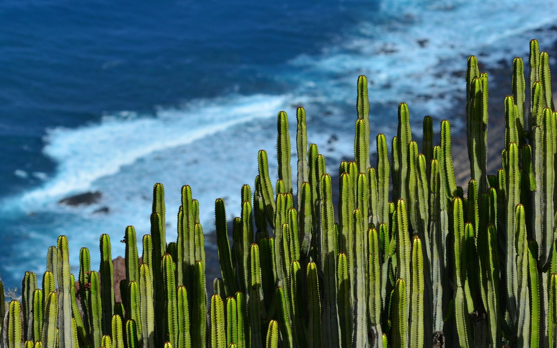 europa naturaleza agua al aire libre amanecer paisaje sol playa verano mar cielo flora