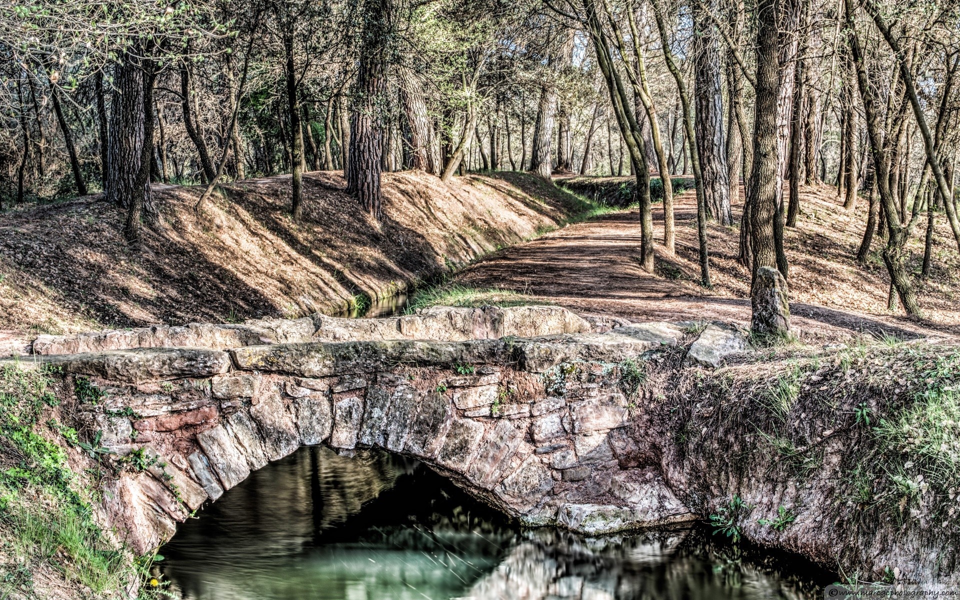 europa natureza madeira água árvore paisagem ao ar livre viagens rio bela parque selvagem flora folha ambiente verão céu fluxo cênica temporada