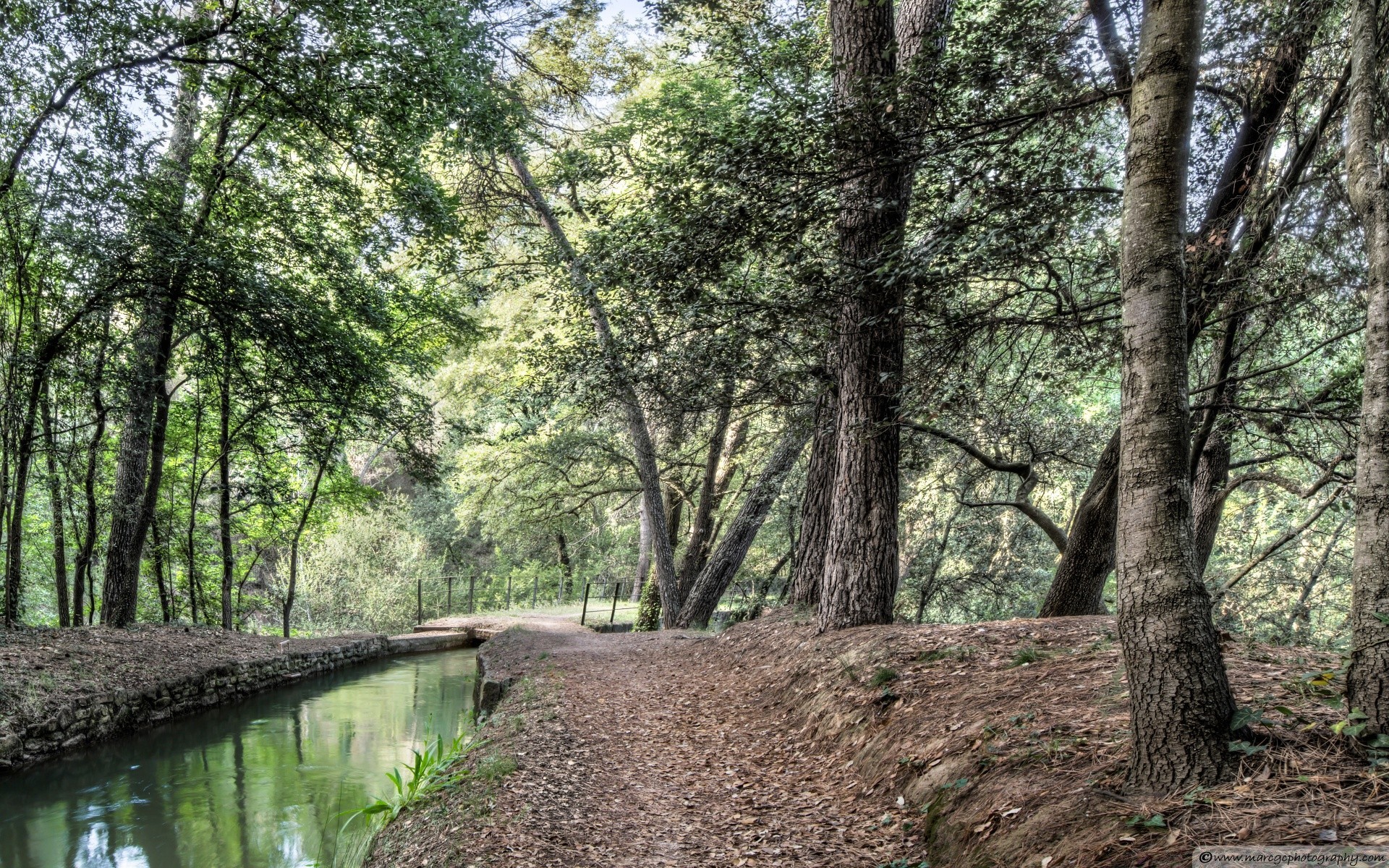 europa drewno natura krajobraz drzewo na zewnątrz liść flora park środa lato sezon przewodnik dobra pogoda ścieżka trawa wiejska woda słońce oddział