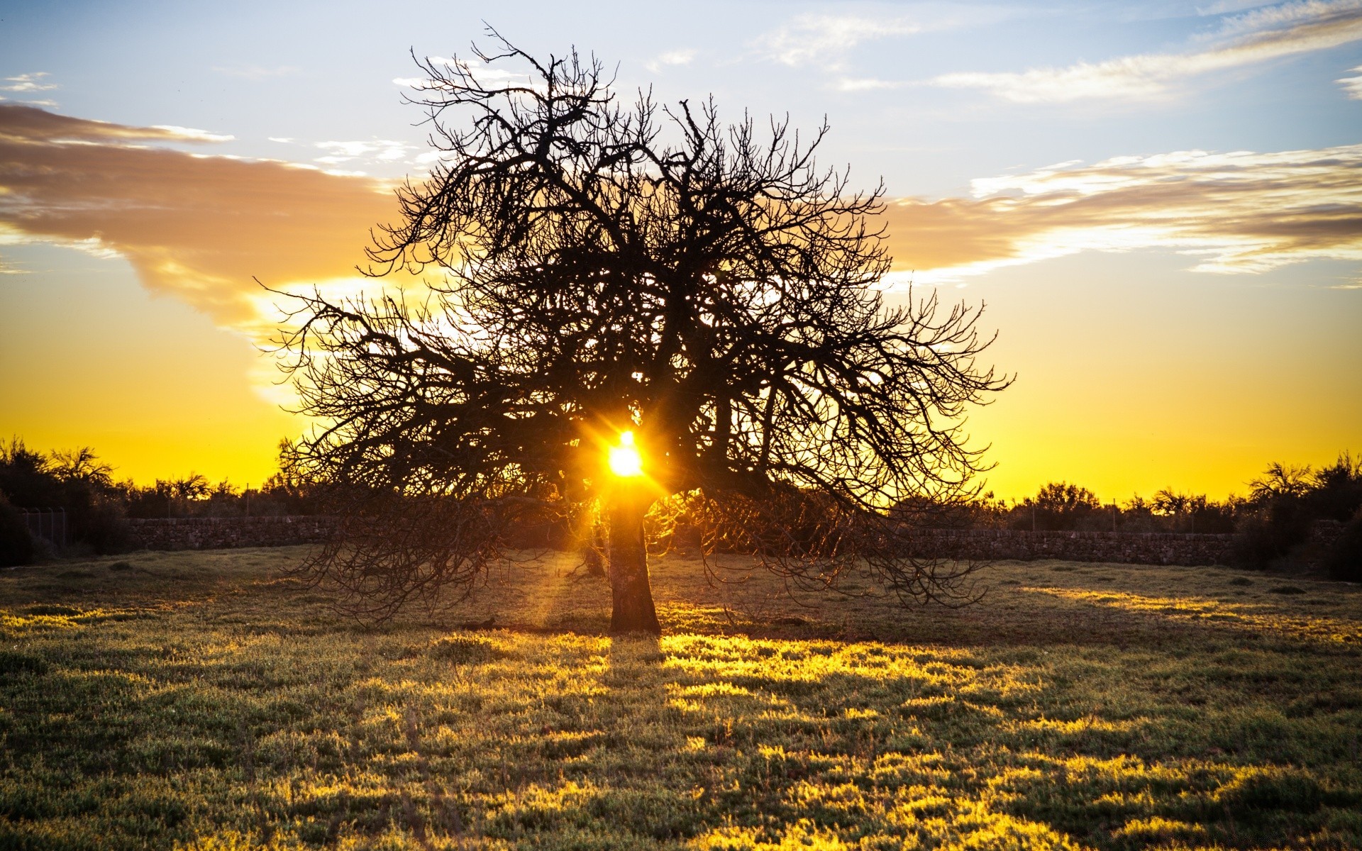 europe sunset dawn sun nature tree landscape fair weather sky evening rural dusk outdoors countryside fall grass summer bright