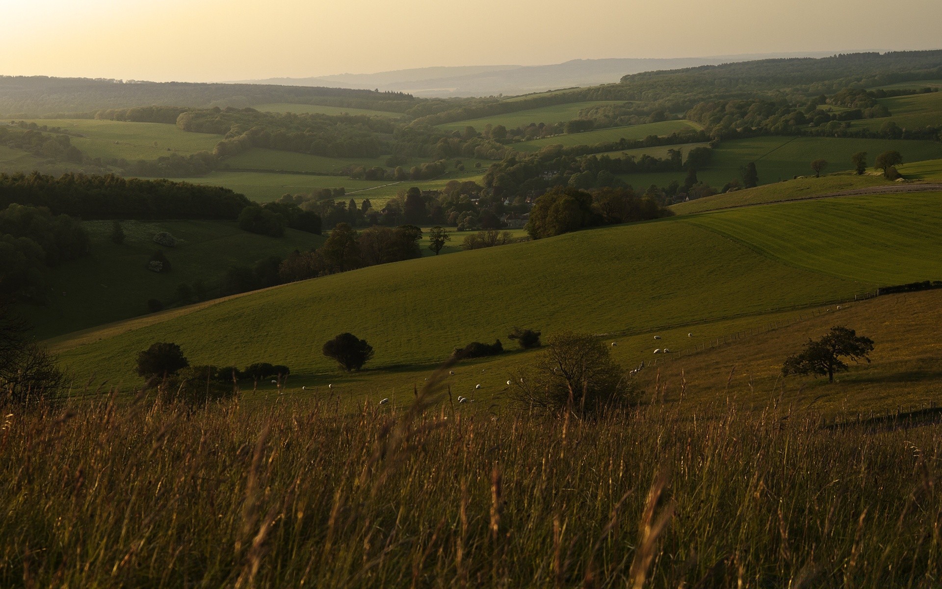 europa bebautes land landschaft landwirtschaft bauernhof pastorale weiden feld tageslicht im freien heuhaufen landschaft gras hügel weide himmel baum reisen ernte weizen