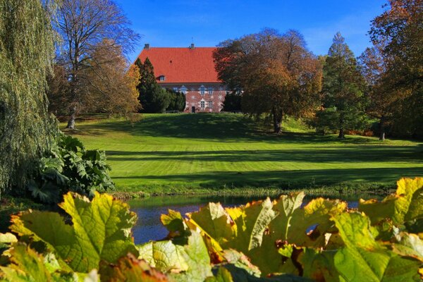 Maison de village avec toit rouge en Europe