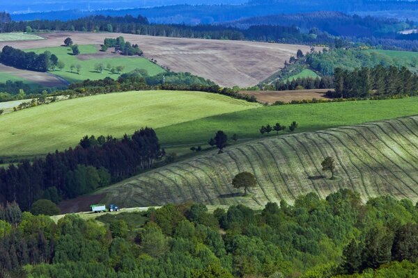 Der Laubwald wird durch ein gepflügtes Feld ersetzt und setzt sich in einer Reihe von Wiesen fort