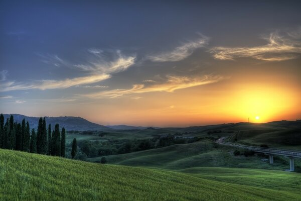 Sunset over a green field