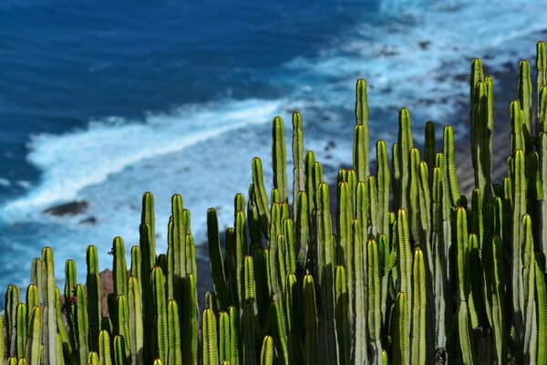 Naturaleza al aire libre del amanecer