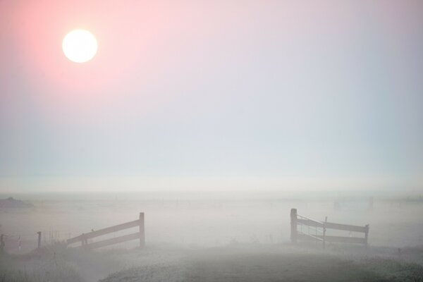 Bienvenue dans le brouillard mystérieux