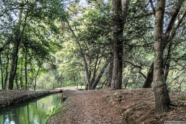 Landschaft des Parks mit Bäumen und Fluss