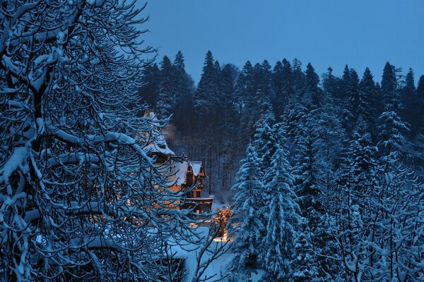 Casa de conto de fadas na floresta de Inverno