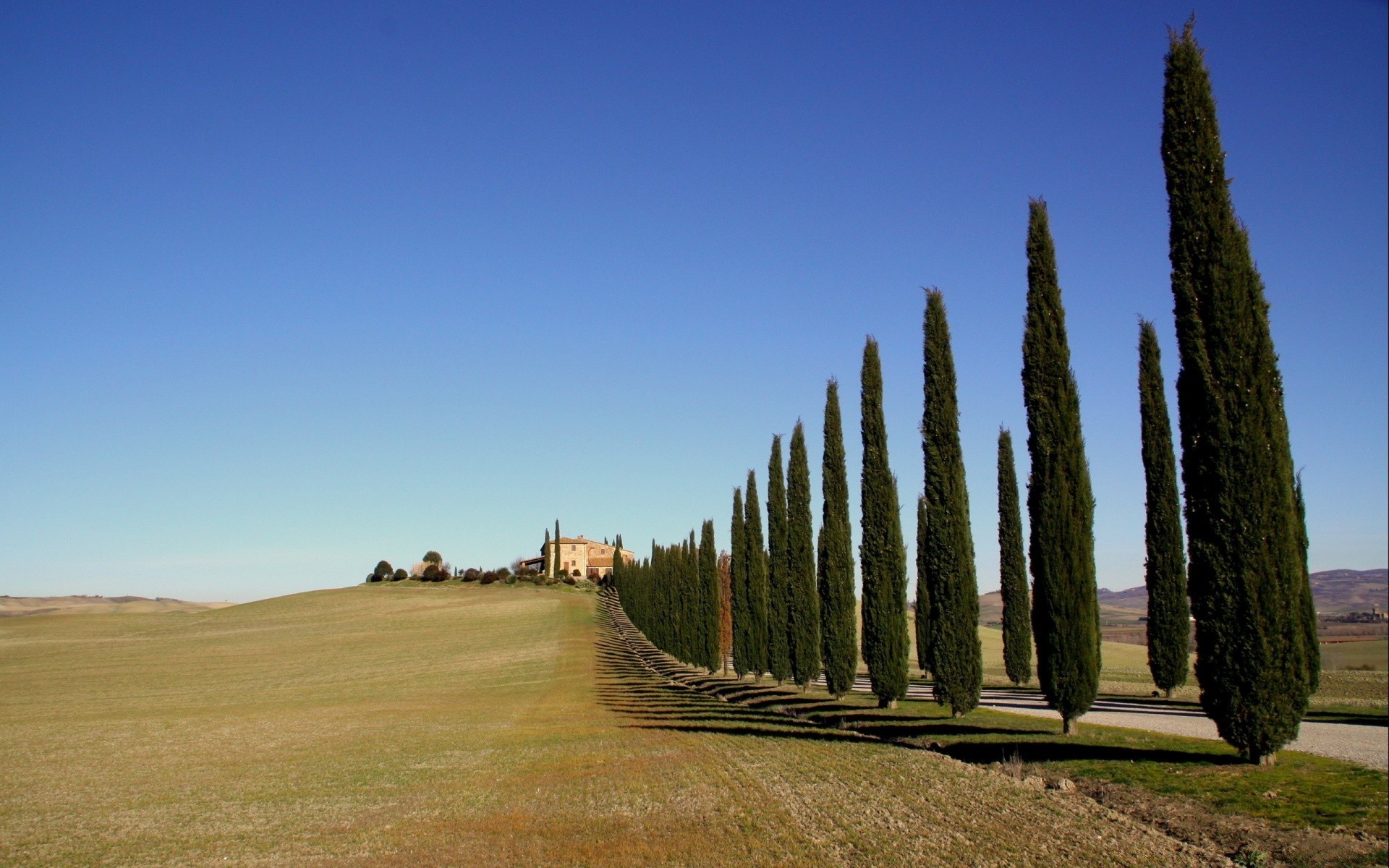 europe landscape outdoors tree sky nature grass cypress countryside travel fall rural road field summer daylight agriculture wood fair weather cropland