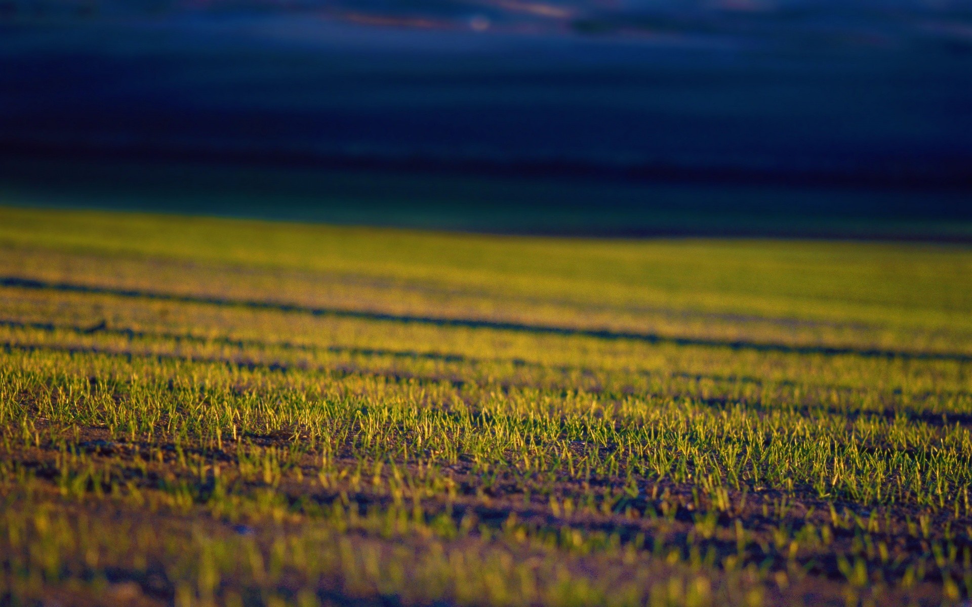 l europe l agriculture la nature champ paysage rural coucher de soleil terres cultivées croissance lumière ferme pâturage aube campagne à l extérieur ciel soir été beau temps soleil