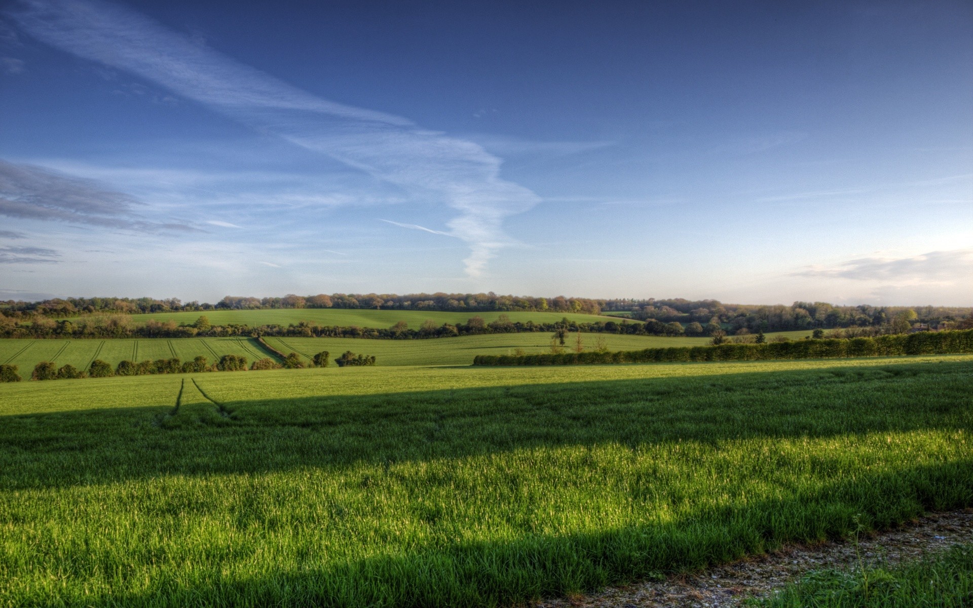 europe agriculture landscape field farm cropland rural nature countryside crop sky pasture growth grass cereal outdoors tree wheat summer soil