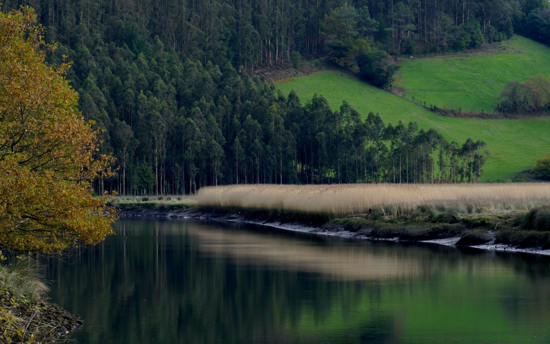 europa wasser fluss see landschaft baum im freien natur reflexion holz reisen landschaftlich herbst tageslicht