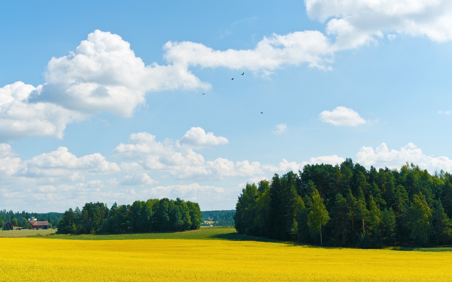 l europe paysage agriculture champ ciel ferme nature arbre rural campagne été horizon récolte à l extérieur nuage pâturage pays foin scénique lumière du jour