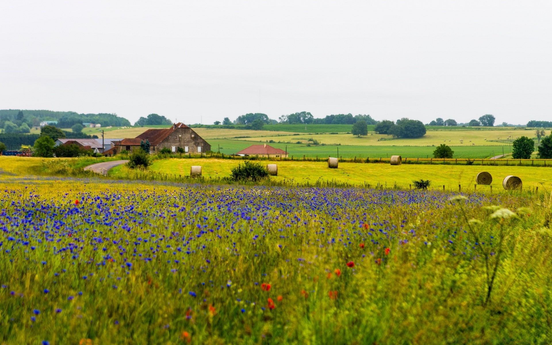 europa feld heuhaufen landwirtschaft landschaft blume des ländlichen natur bauernhof landschaft flora sommer gras im freien land baum farbe weiden saison landschaftlich