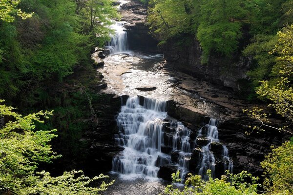 Fiume in Europa, cascate tra gli alberi