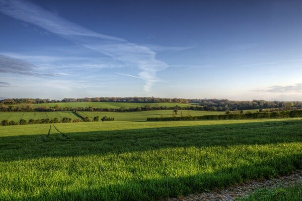 Champ, paysage de campagne