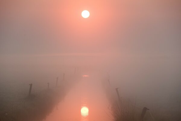 Neblige Morgendämmerung über dem Fluss, schöne rosa Morgendämmerung