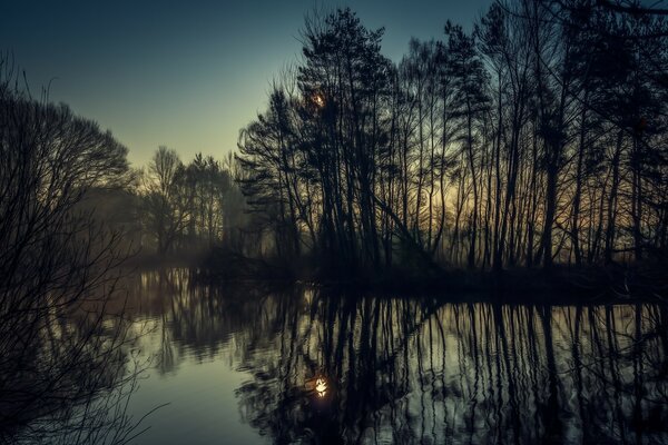 Tall trees are reflected in the river