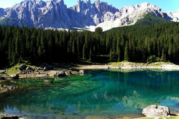 Lago perto da floresta e das montanhas