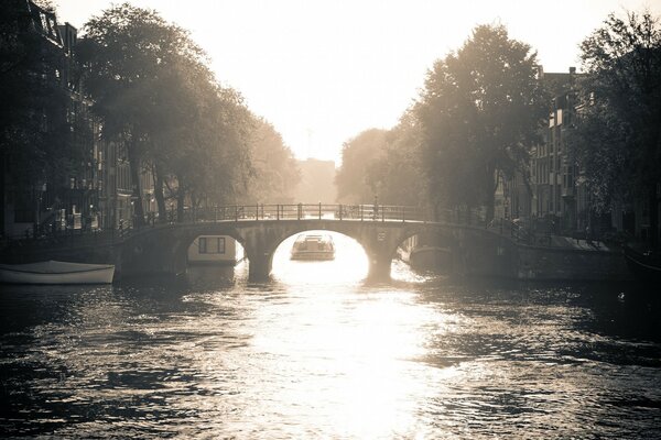 Brücke über dem Fluss unter Bäumen