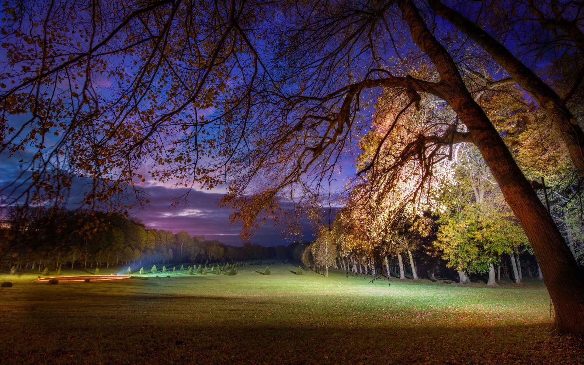 europe tree landscape fall park nature dawn wood light scenic leaf outdoors branch season fair weather evening sun