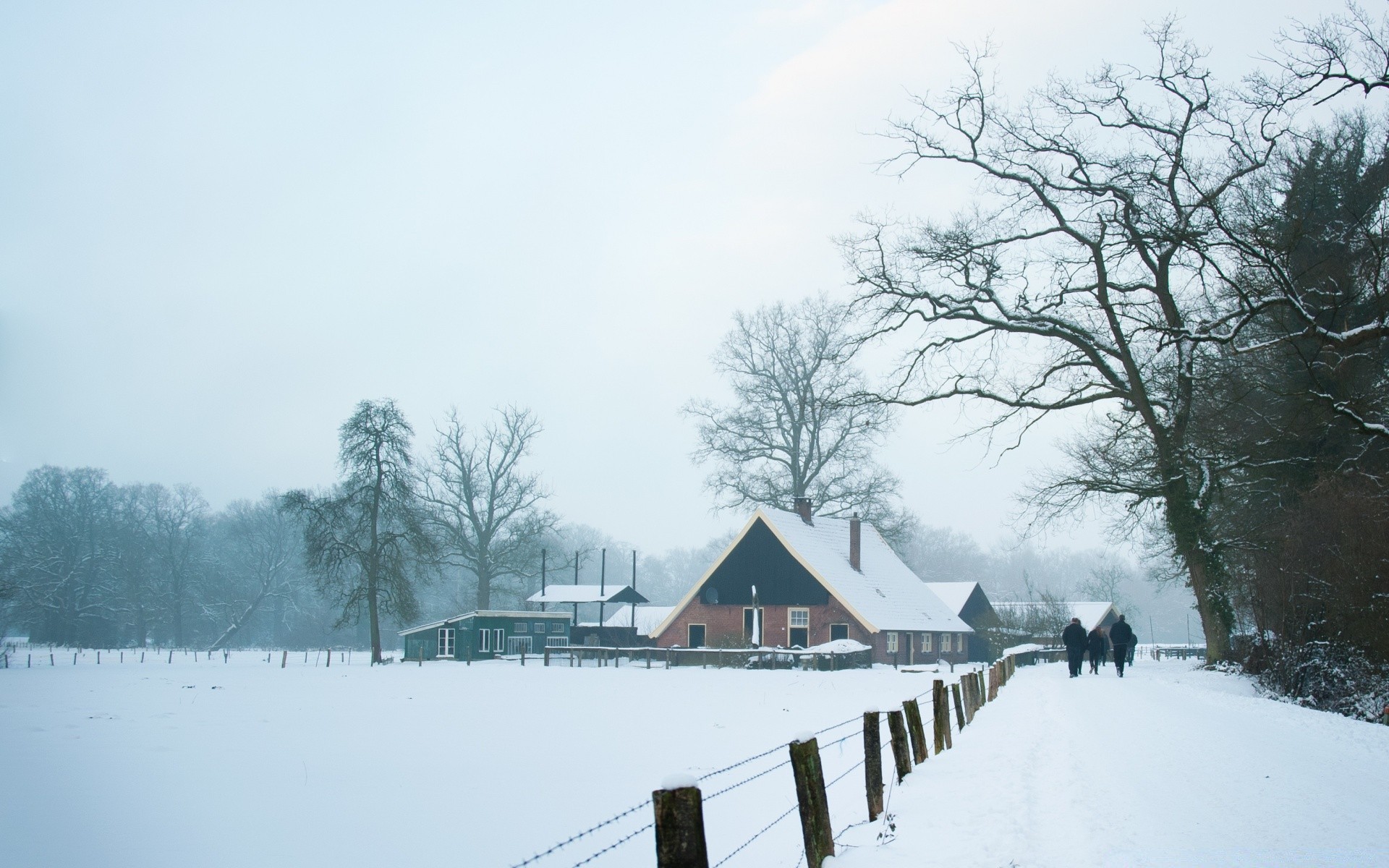 europe snow winter cold tree wood weather fog frozen landscape ice frost nature outdoors frosty water lake mist placid