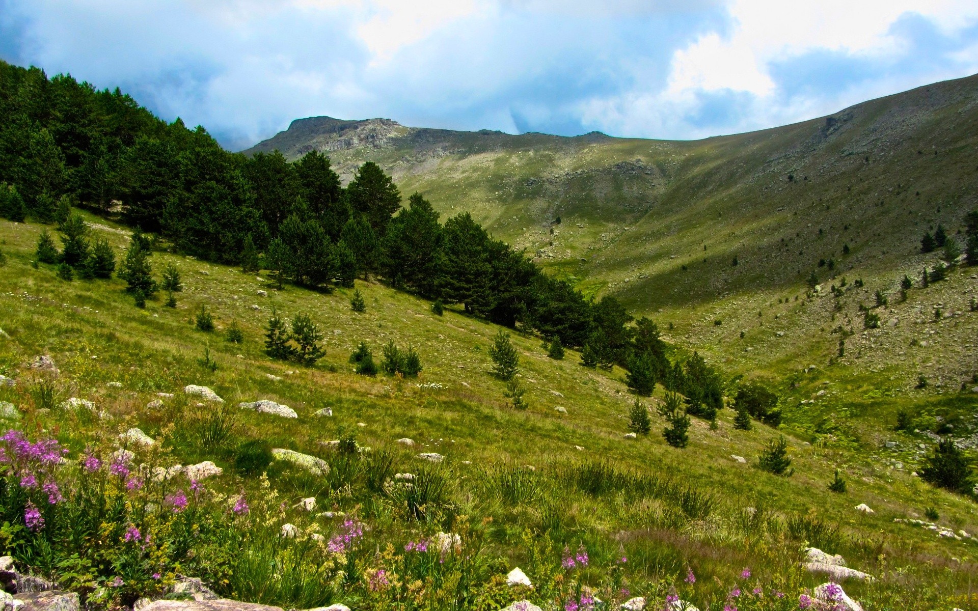 europa paisagem natureza montanhas ao ar livre viajar verão grama colina céu feno cênica vale espetáculo campo árvore pastagem luz do dia flor ambiente