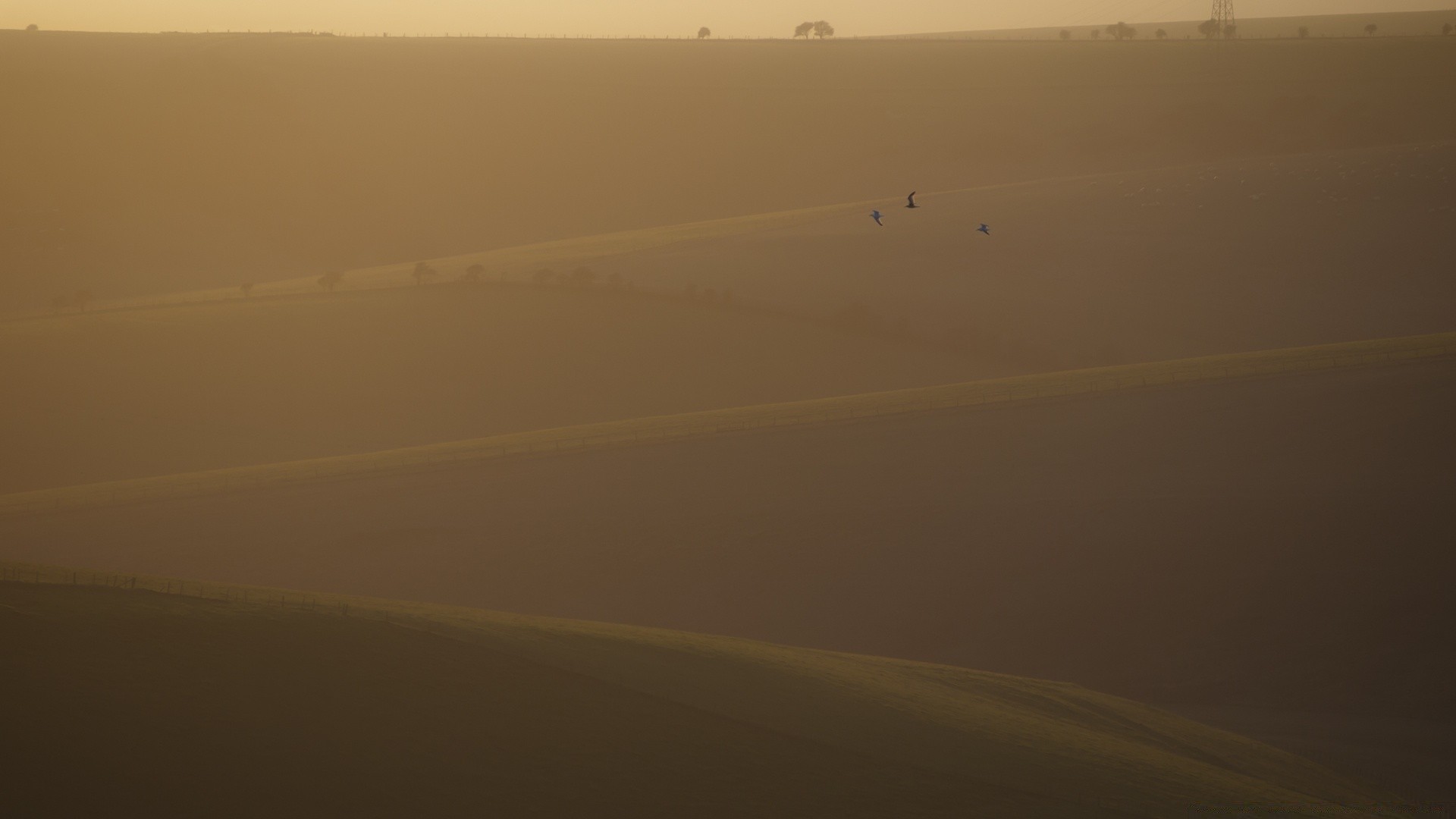 europa landschaft strand sonnenuntergang dämmerung wüste nebel meer licht meer tageslicht ozean hintergrundbeleuchtung abend wasser see reisen wetter baum