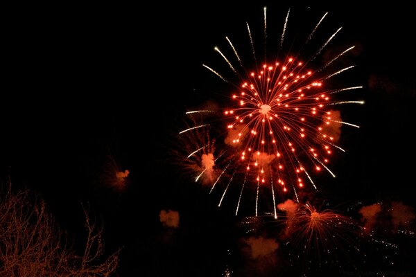 Fuegos artificiales en el cielo nocturno