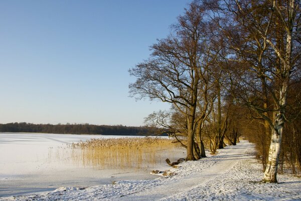 Wintersee, frische Luft