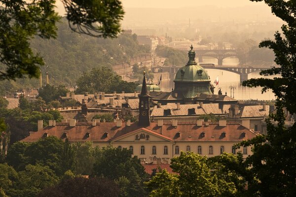 L architettura della città è visibile da dietro gli alberi