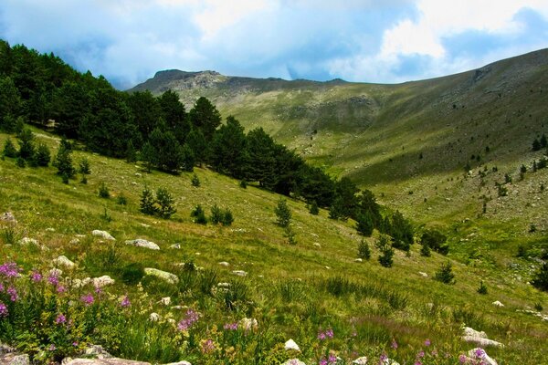 Landscape view of the mountains and green meadows