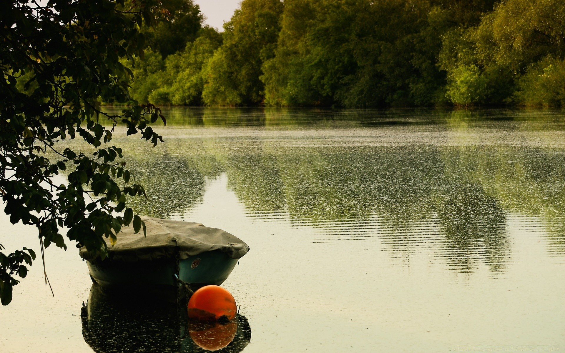 europe water tree river lake reflection outdoors landscape daylight pool recreation nature scenic wood