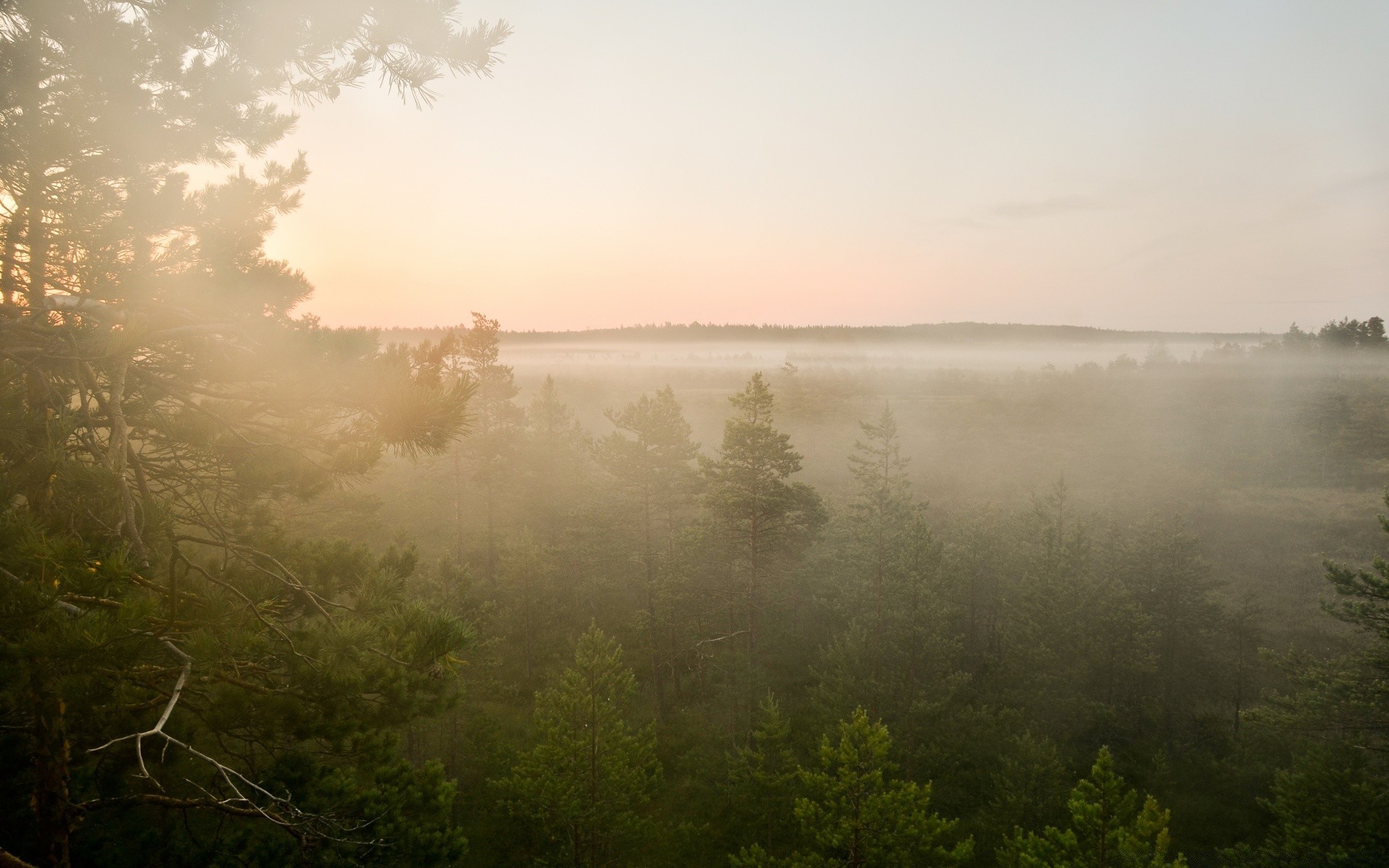 europa landschaft nebel wasser baum see nebel dämmerung natur licht himmel fluss wetter reflexion sonnenuntergang