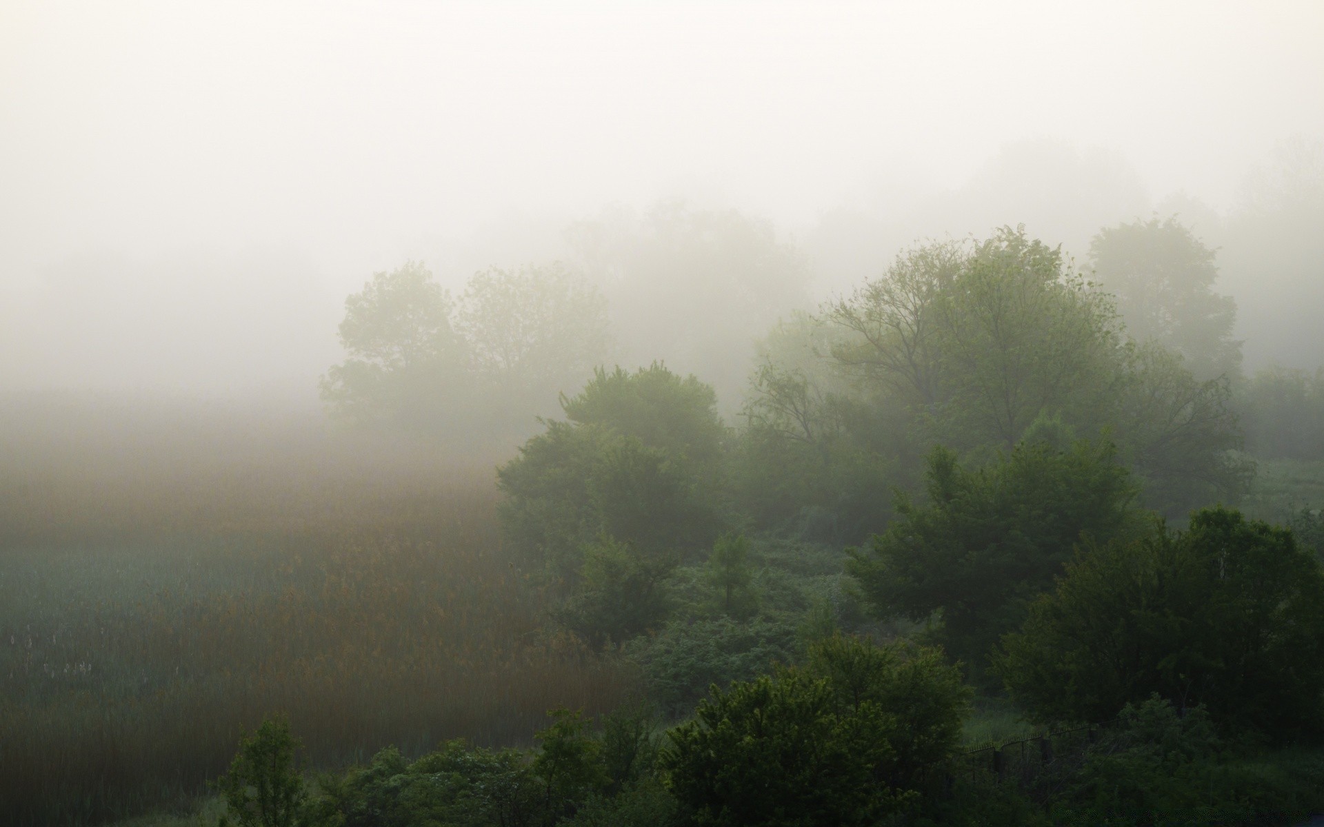 europa nebel landschaft nebel baum natur dämmerung berge wetter holz himmel licht dunst im freien sonne sonnenuntergang