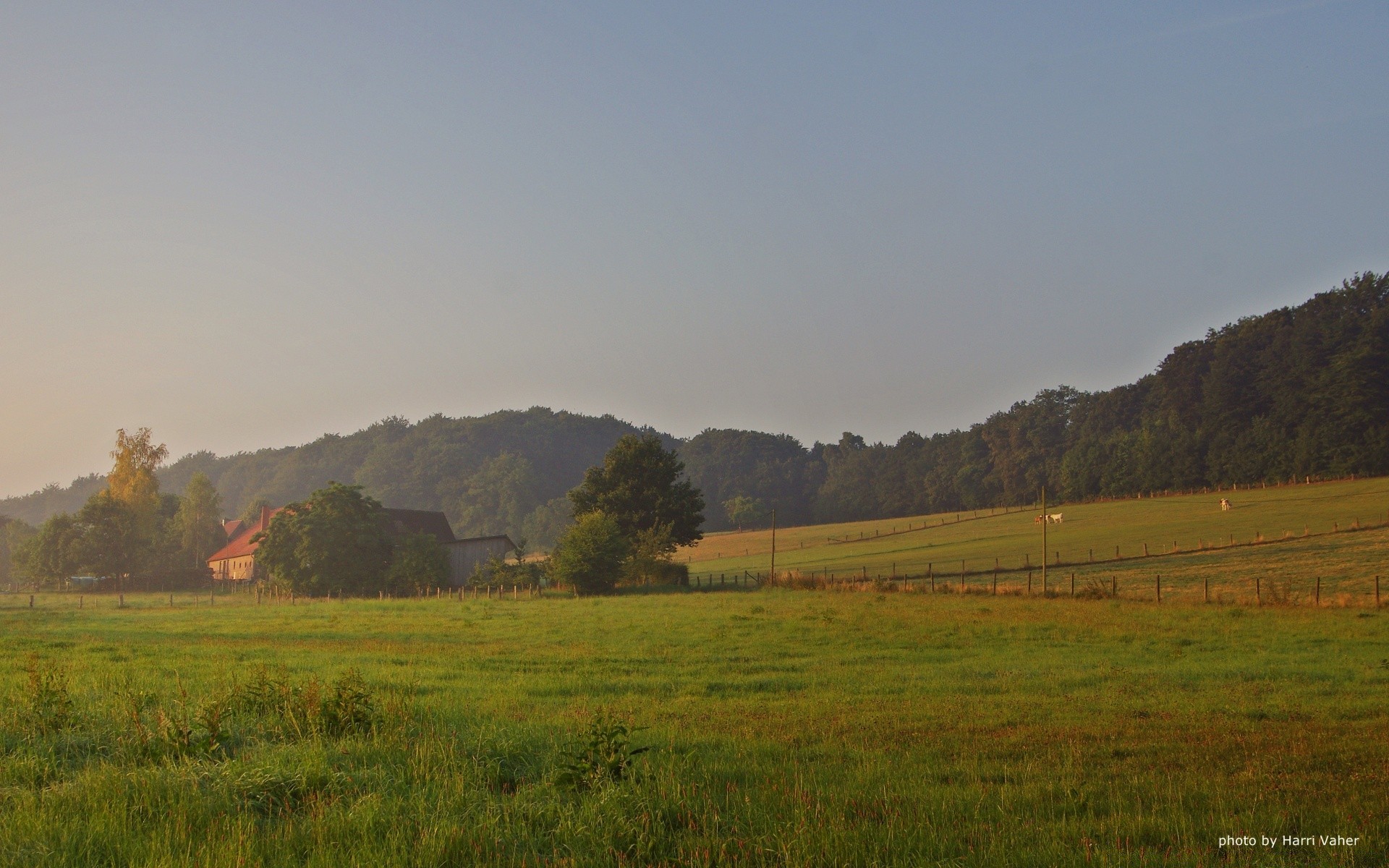 europa paesaggio alba terra coltivata nebbia albero all aperto natura agricoltura campagna tramonto erba cielo viaggi autunno nebbia pastorale