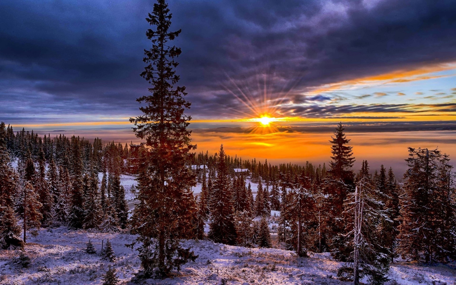 europa neve madeira amanhecer natureza inverno paisagem árvore ao ar livre cênica frio pôr do sol geada céu bom tempo estação água outono lago compostura