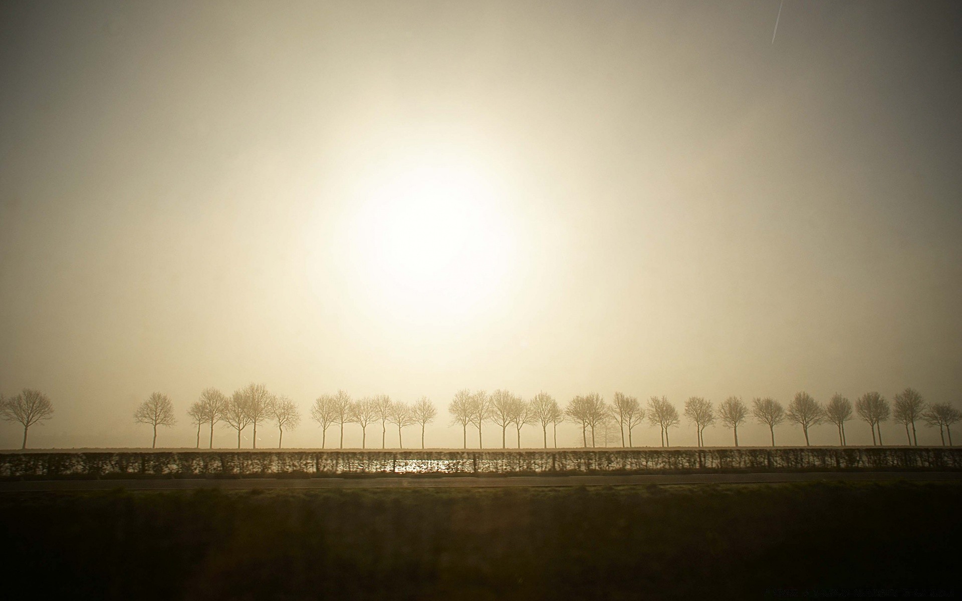 europa nebel landschaft dämmerung nebel natur rauch sonne himmel sonnenuntergang licht wetter smog winter baum