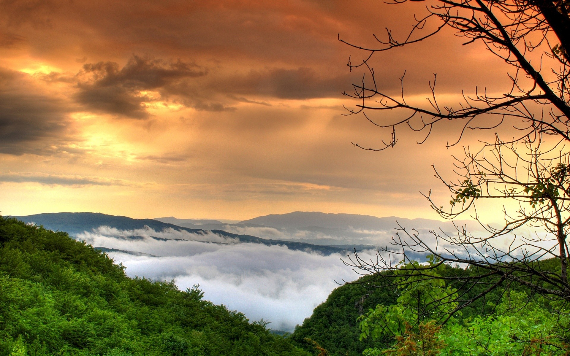 europe sky dawn sunset nature landscape tree water travel fog outdoors sun evening wood