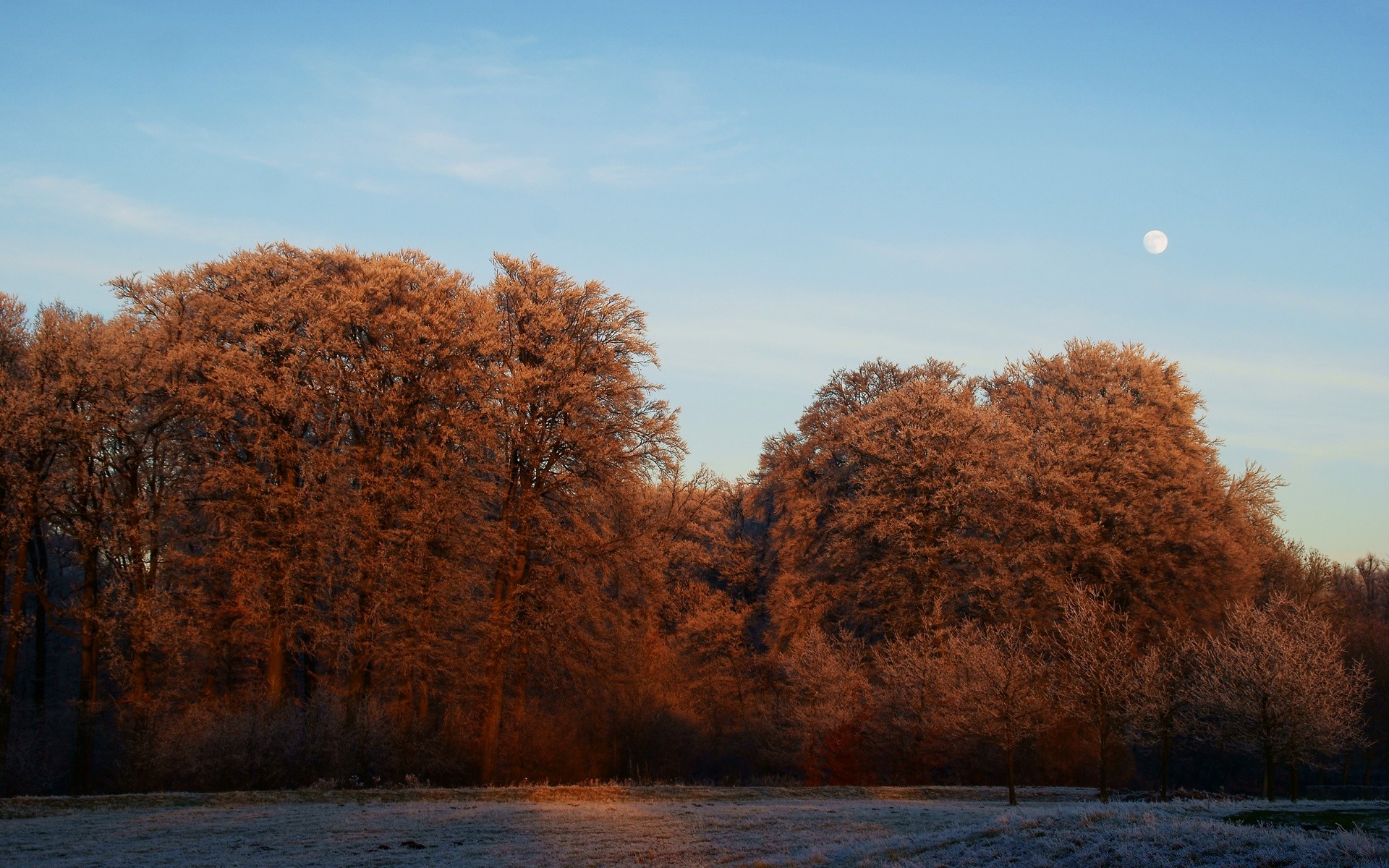 europe automne paysage arbre aube hiver nature coucher de soleil bois lac ciel neige brouillard eau en plein air parc soleil saison froid lumière