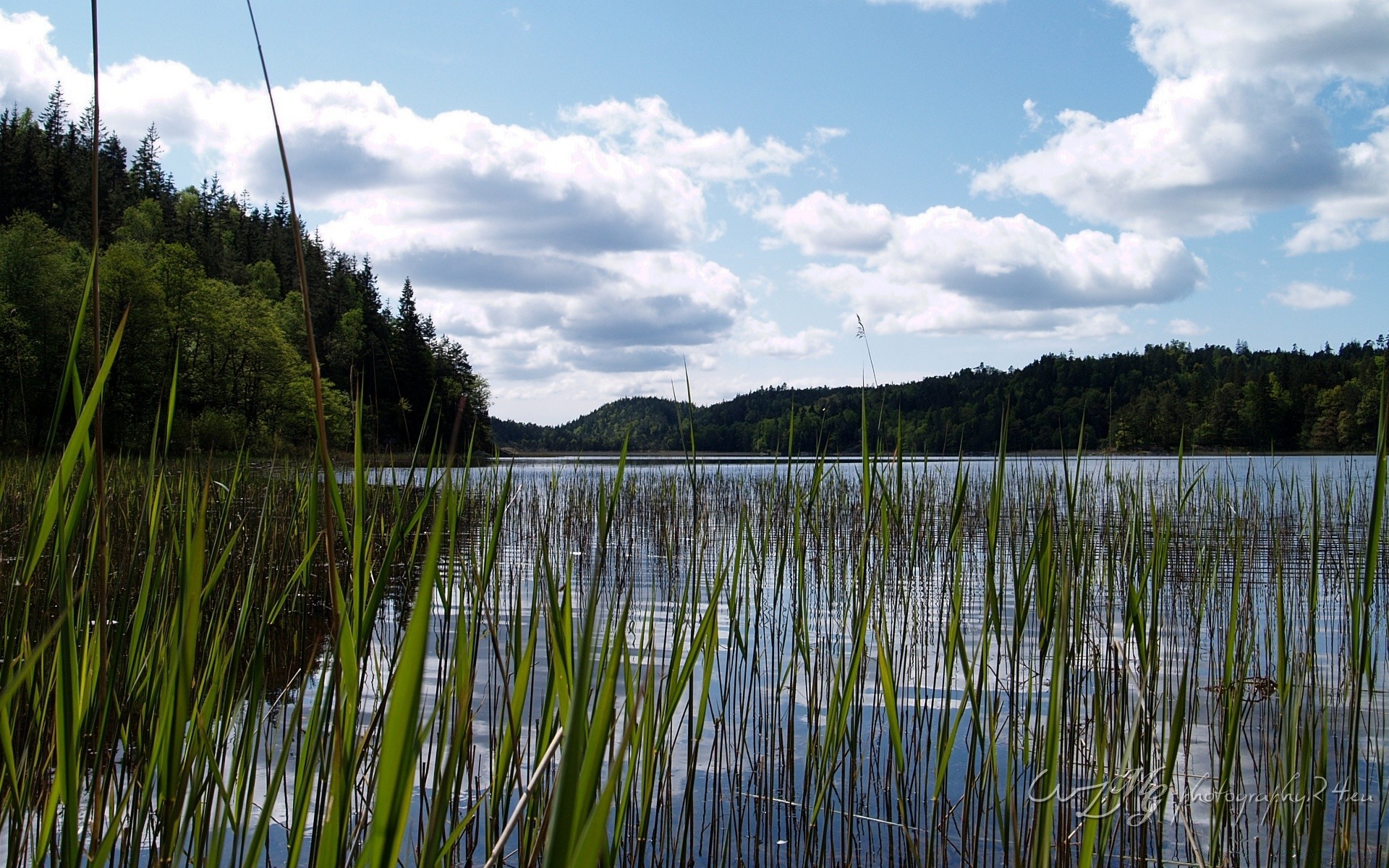 europe reflection lake water landscape nature river sky outdoors reed wood summer grass tree mirror