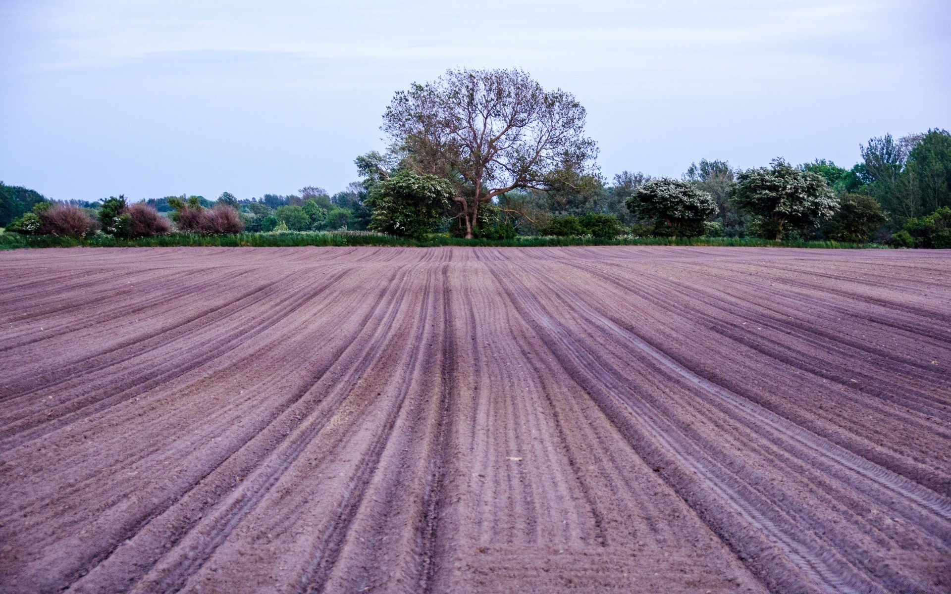 europe nature wood agriculture rural outdoors landscape tree summer field farm pasture countryside soil farmland sky desktop