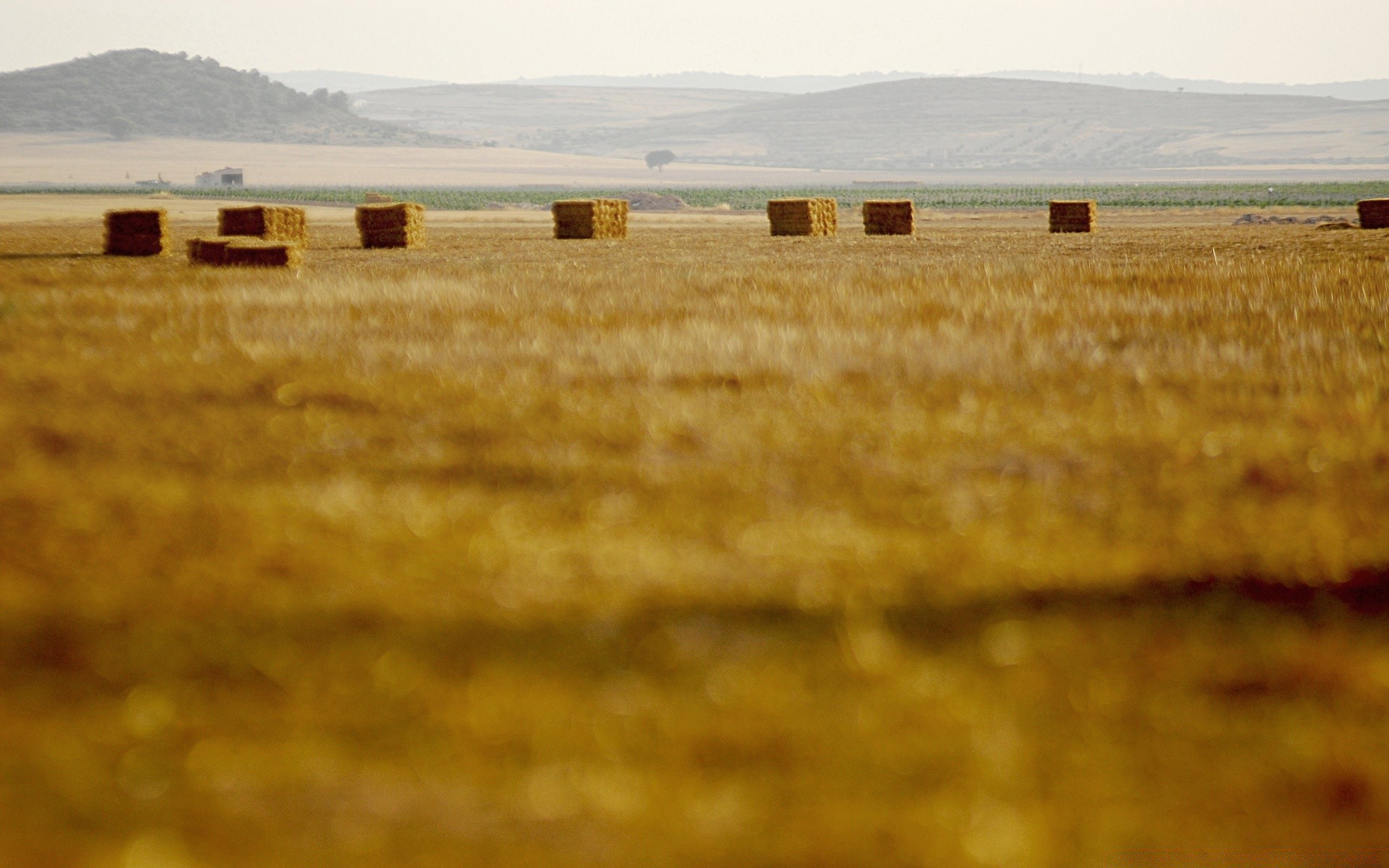 europa fattoria paesaggio campo agricoltura raccolto terra coltivata grano paese campagna autunno rurale cereali fieno oro bale cielo - prairie natura colore