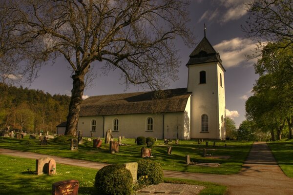 Arbre près de l église à l extérieur