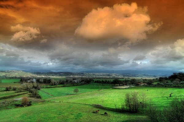 Contrasts of nature - green grass and dark sky